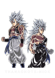 Gogeta USSG and Vegito USSG - DBXV2 [COLOR-2]