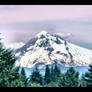 Mt. Hood