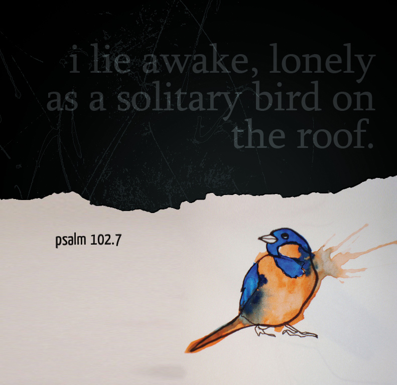 solitary bird