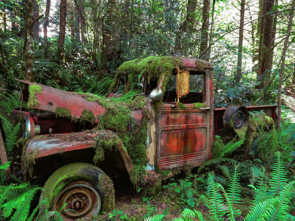 Abandoned Jeep