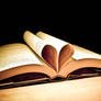 The Book Of Hearts