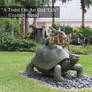 Giant Tortoise and Hare