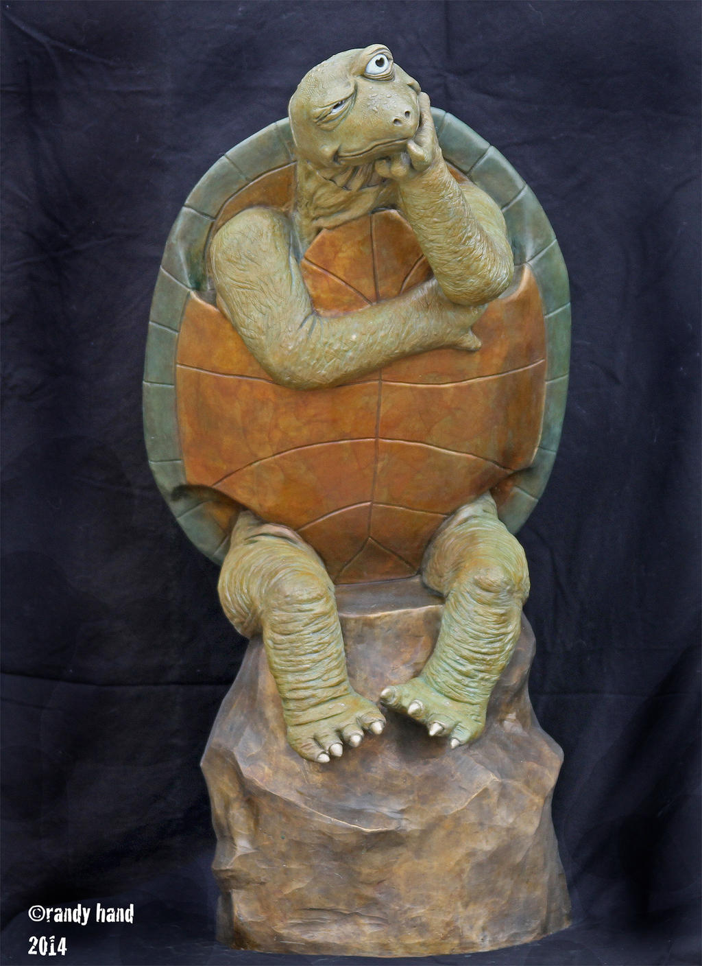 Skeptical Turtle