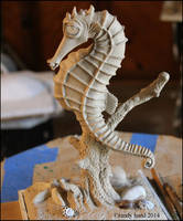 Seahorse final