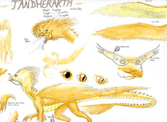 Tandherarth traditional reference sheet