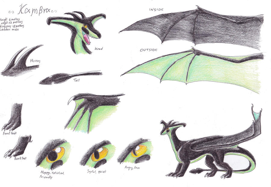 Kambra (traditional) reference sheet