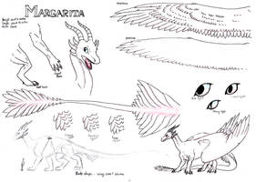 Margarita traditional reference sheet