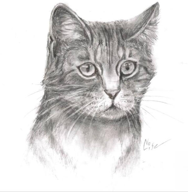 Meowler Meow by NoLife17 on DeviantArt
