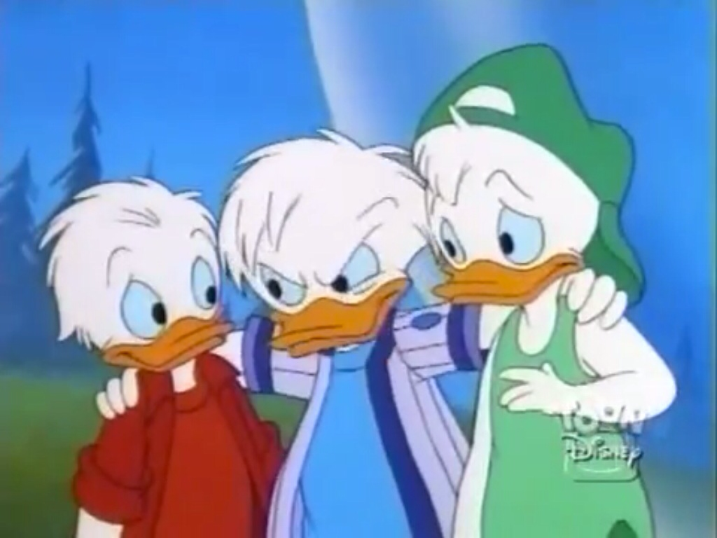 Quack Pack Rv Quack Pack