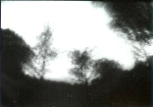 Pinhole II