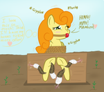 Carrot Top's Secret Garden by DarkKnightHoof