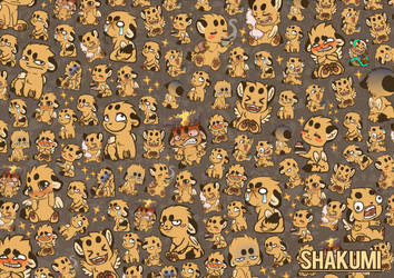 Shakumi pattern