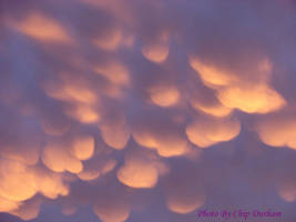 Mammatus 1