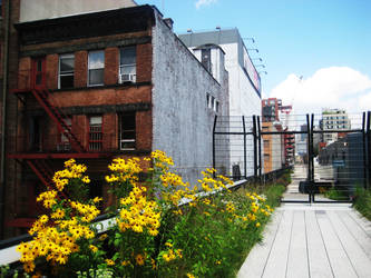 The Highline