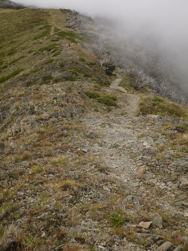 Mt Feathertop, one cloudy day of January 2016