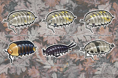 Explore the Best Isopod Art | DeviantArt