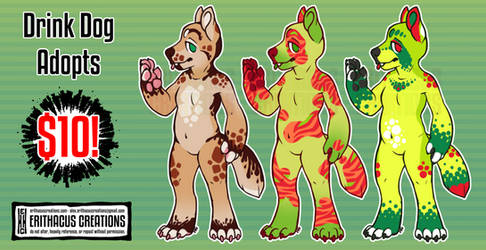 Drink Dog Adopts