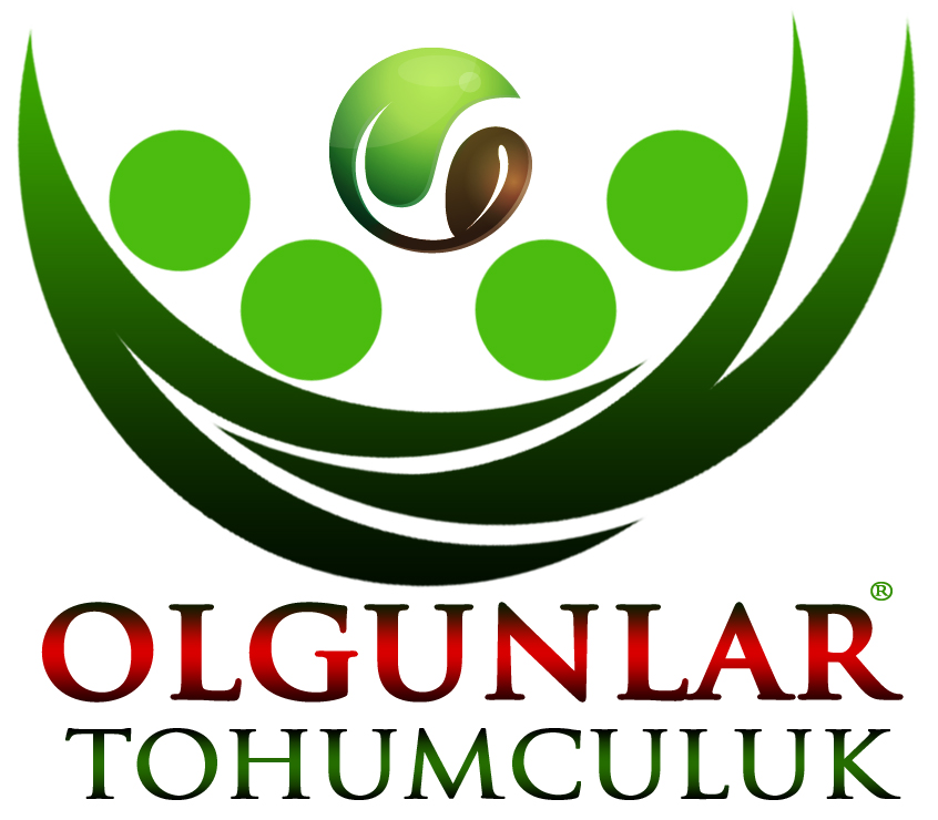 Olgunlar Seed