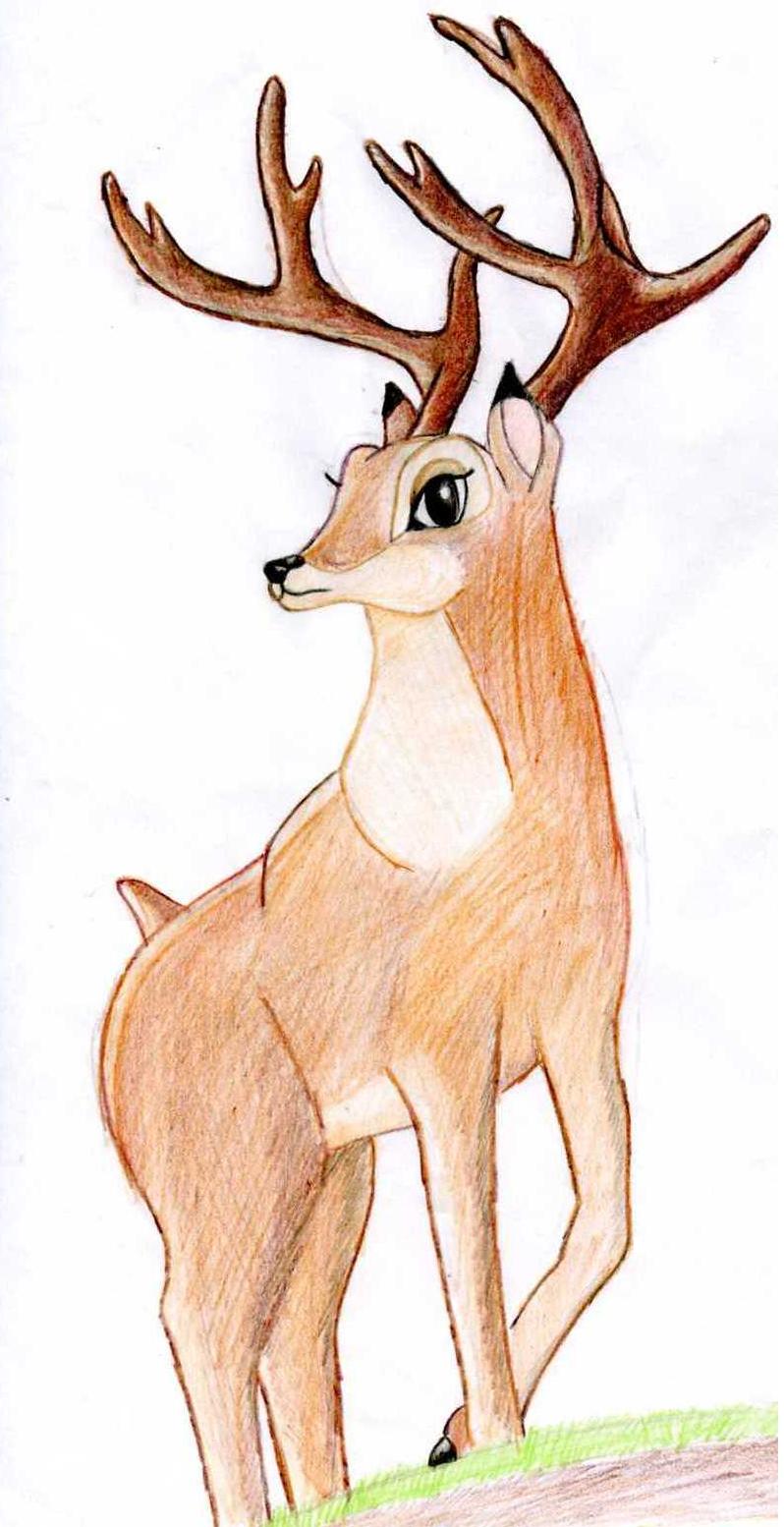 Bambi-The Prince of the Forest