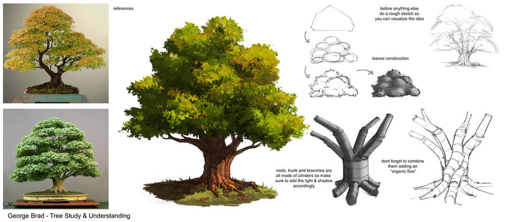 Study - Tree by georgecatalin93 on DeviantArt