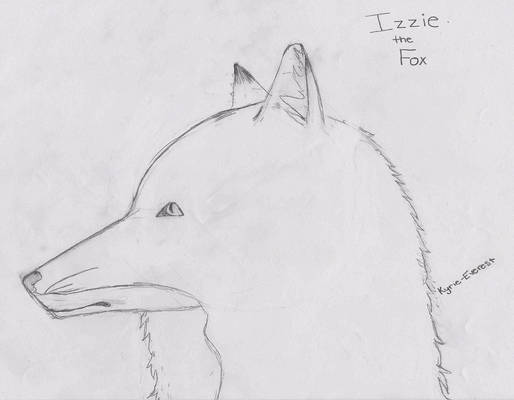 Izzie The Fox