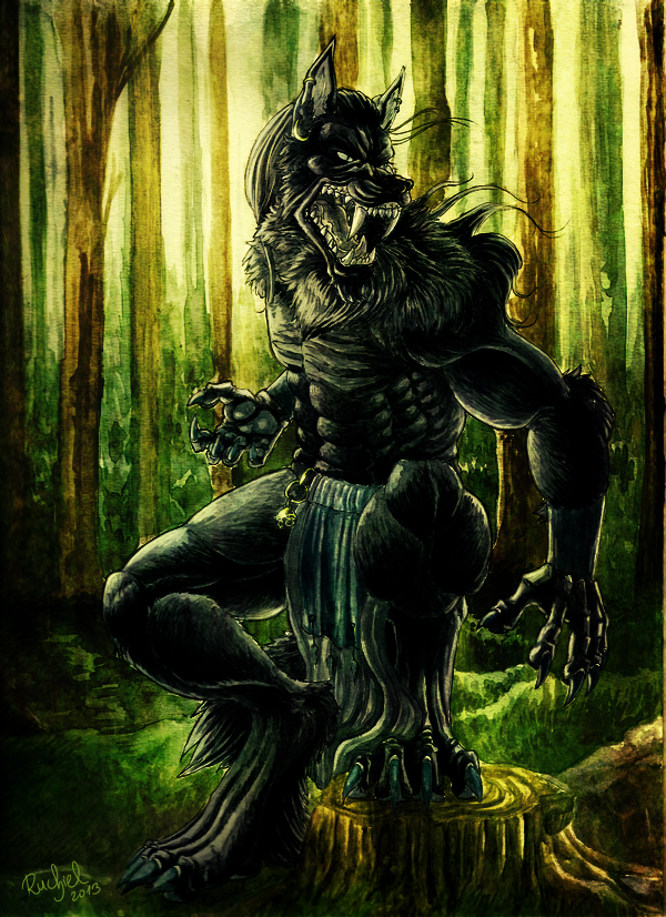 Wolf in the forest