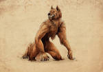 Werewolf by Ruchiel