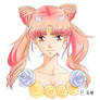 Sailor Moon 'Chibiusa'