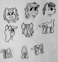 Pony Angles