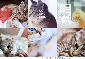 kitten icons