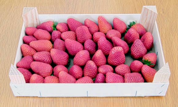 Strawberries