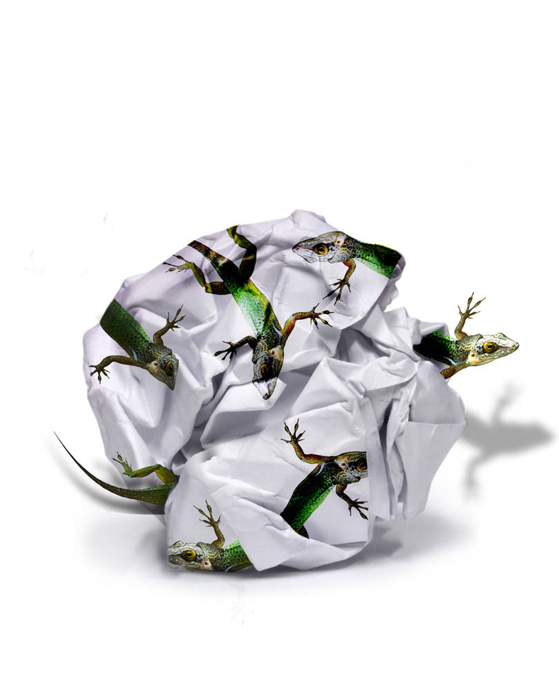 Lizard paper by deepgrounduk on DeviantArt