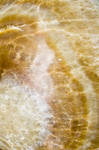 Marble texture deepgrounduk by deepgrounduk Marble texture deepgrounduk by deepgrounduk