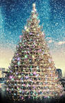 Christmas Tree by deepgrounduk