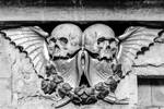 Skulls and Wings Stock Deepgrounduk DeviantArt