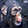 Chimpanzee, Street Art