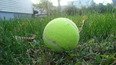 Tennis Ball