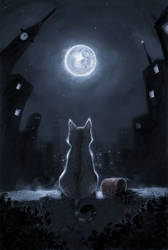 cat+moon