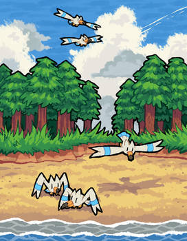Explore the Best Wingull Art | DeviantArt