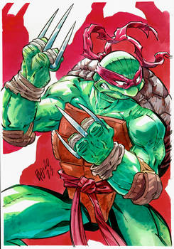 Raphael TMNT