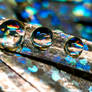 Metallic Droplets