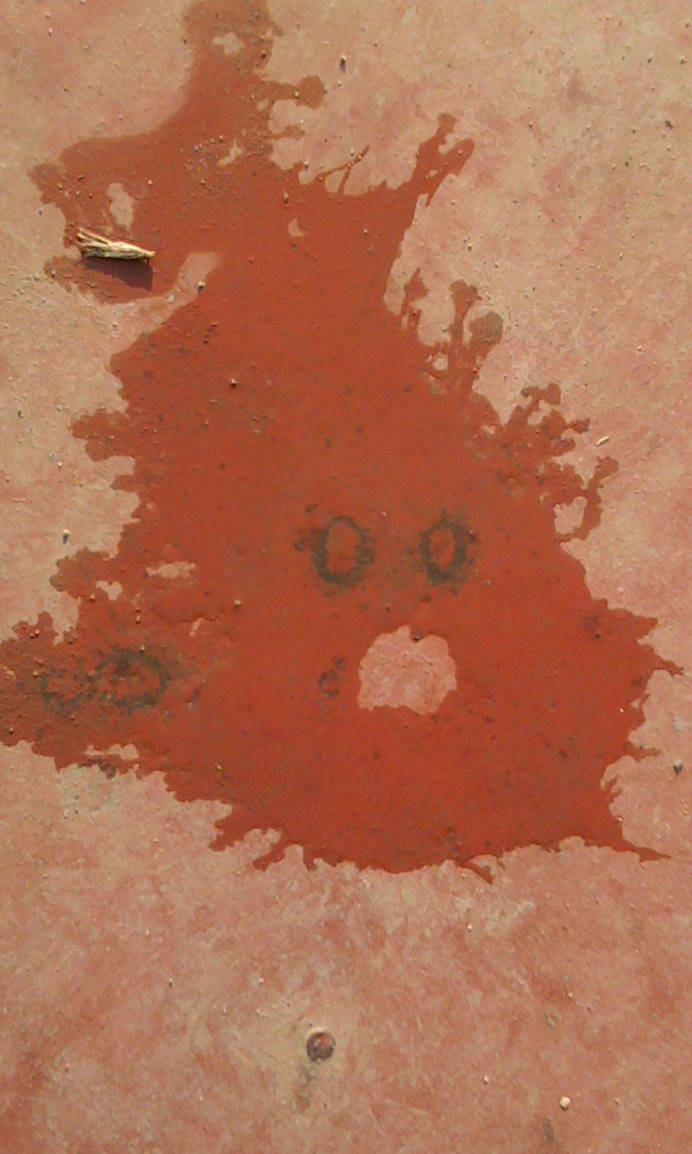 face splat by dany987 on DeviantArt