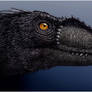 Archaic - Black Raptor