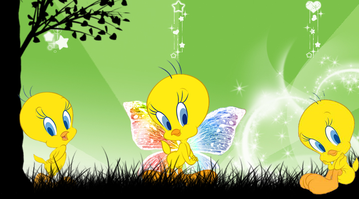 Tweety wallpaper Samsung Star