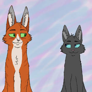 Firestar x Cinderpelt