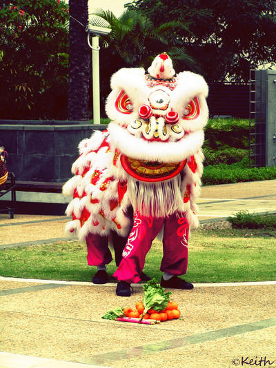 Lion Dance