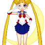 Sailor Moon 1