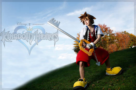 Kingdom Hearts: Where the story begins