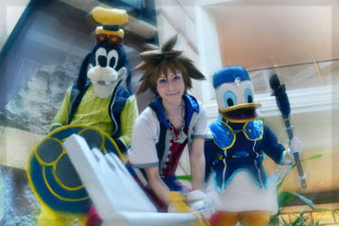 Sora and Friends