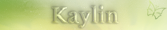 Kaylin Signature Banner